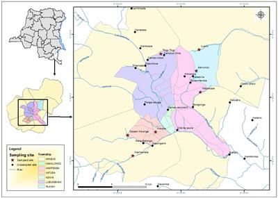 Unraveling the role of informal mutual aid networks in maintaining urban farms in Lubumbashi, Democratic Republic of Congo